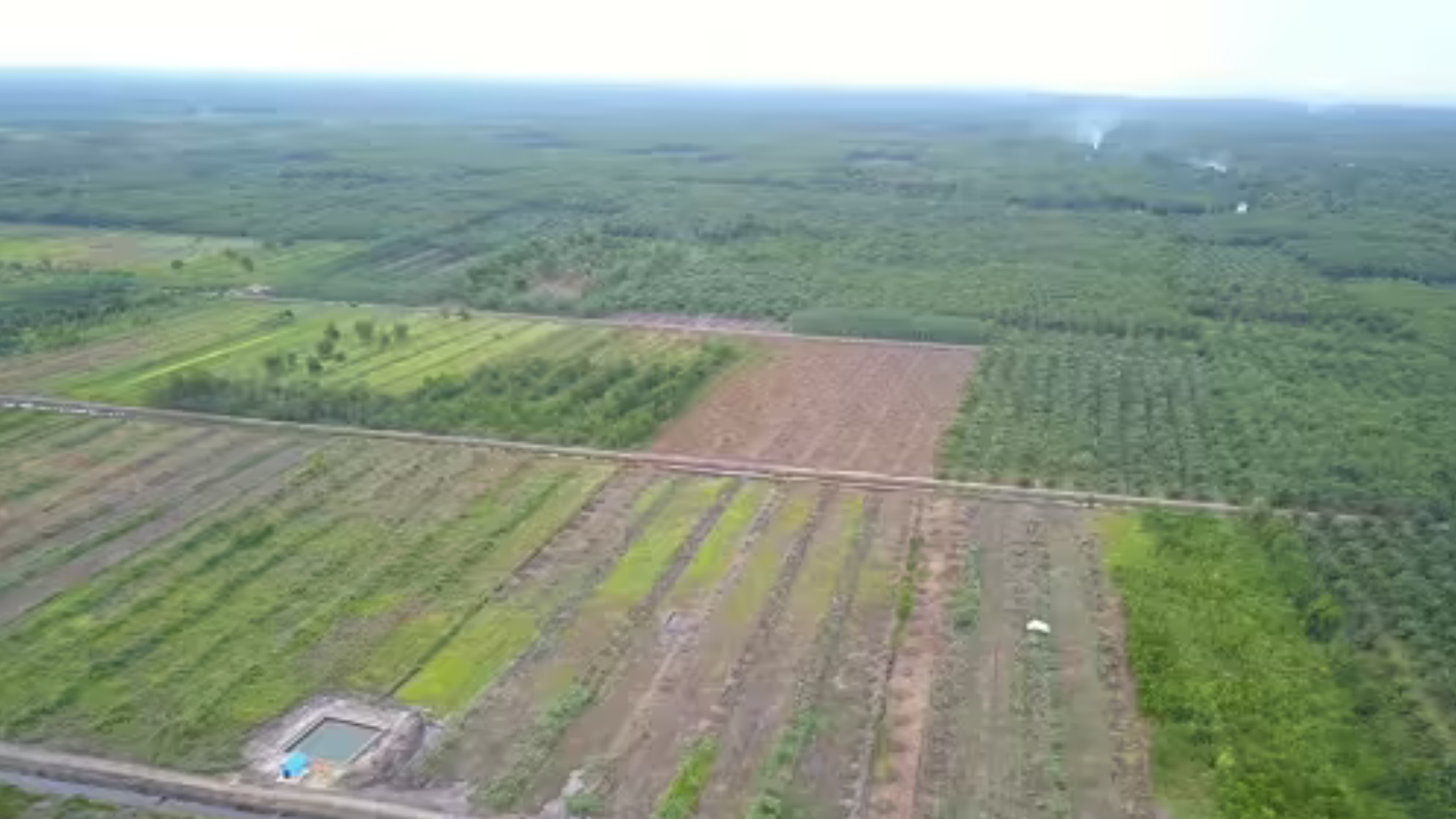 Foto Kementerian Pertanian