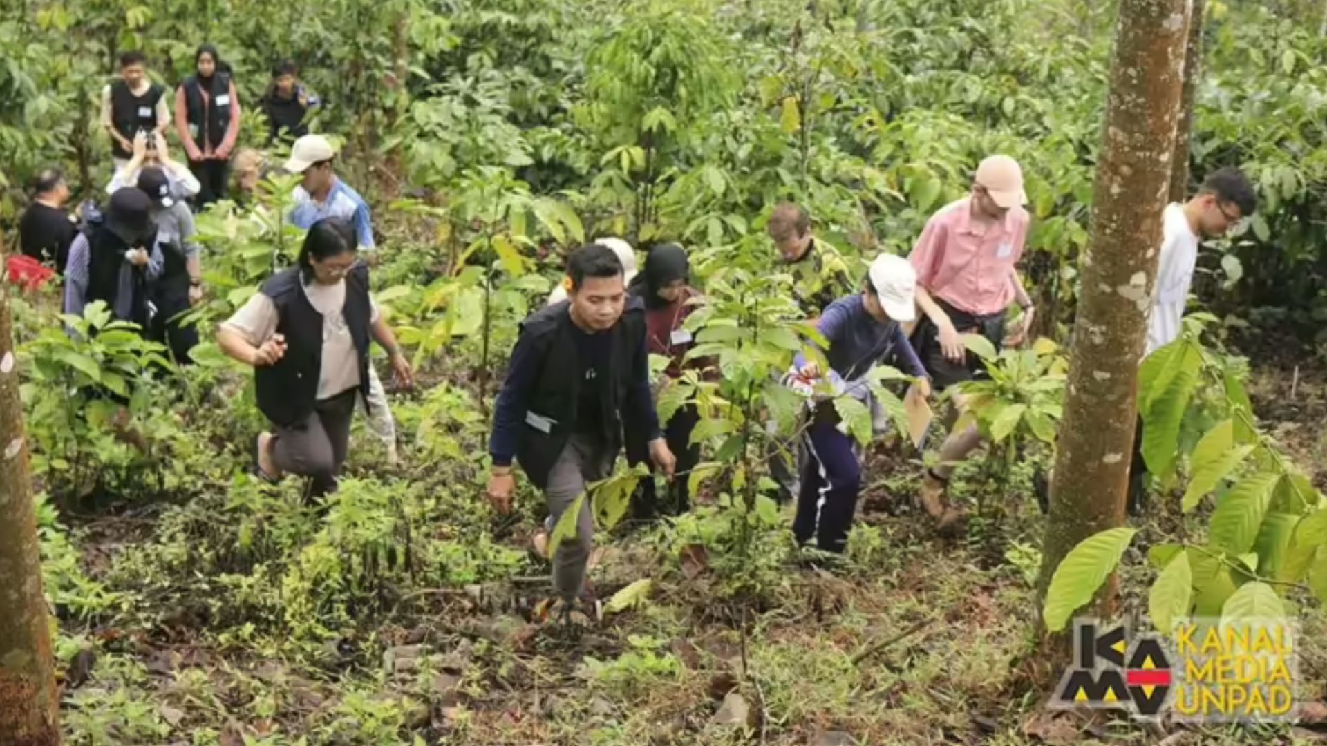 Kegiatan forest healing Unpad. (Unpad)